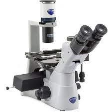 Microscope (Inverted)