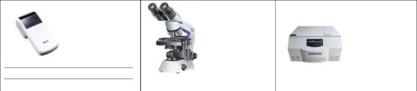Palm F Immunoassay System