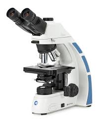Microscope (Compound)